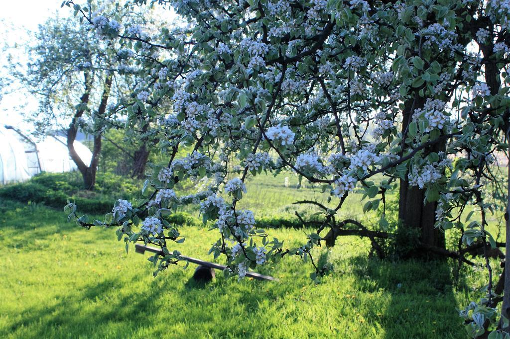 Alloggio per agriturismo Powierzowka